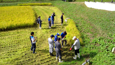 WIN_20251008_09_35_46_Pro