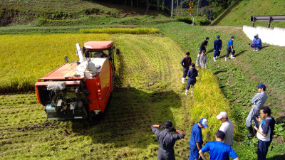 WIN_20251008_09_36_19_Pro