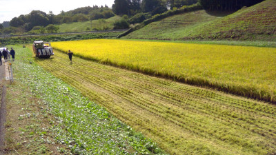 WIN_20251008_09_35_50_Pro