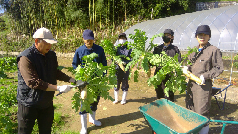 WIN_20251030_10_59_37_Pro