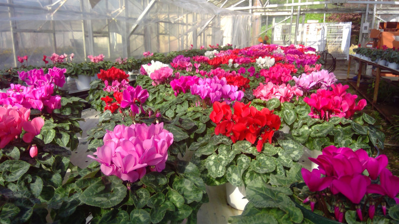 WIN_20251030_11_04_16_Pro