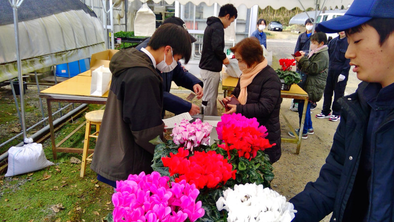 WIN_20251121_09_36_21_Scan