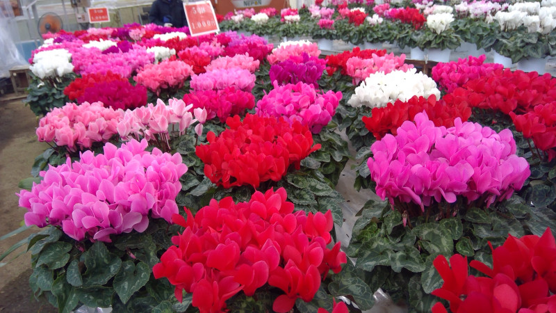 WIN_20251121_09_21_35_Pro