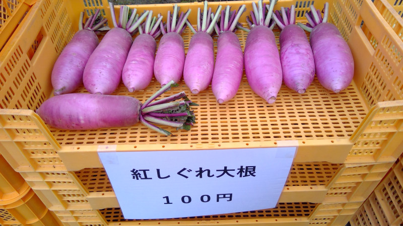 WIN_20251121_09_22_42_Pro