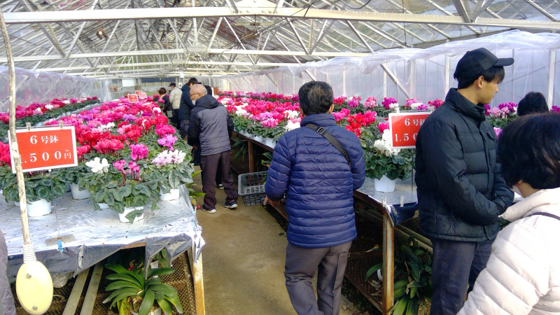 WIN_20251121_09_30_28_Pro