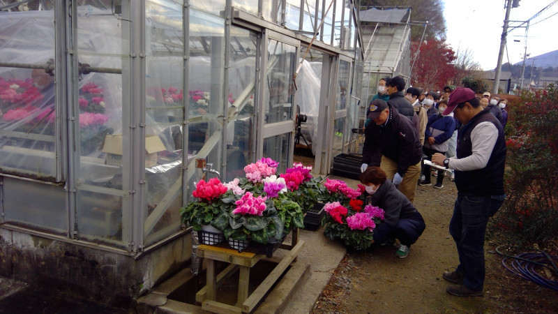 WIN_20251121_09_38_01_Pro